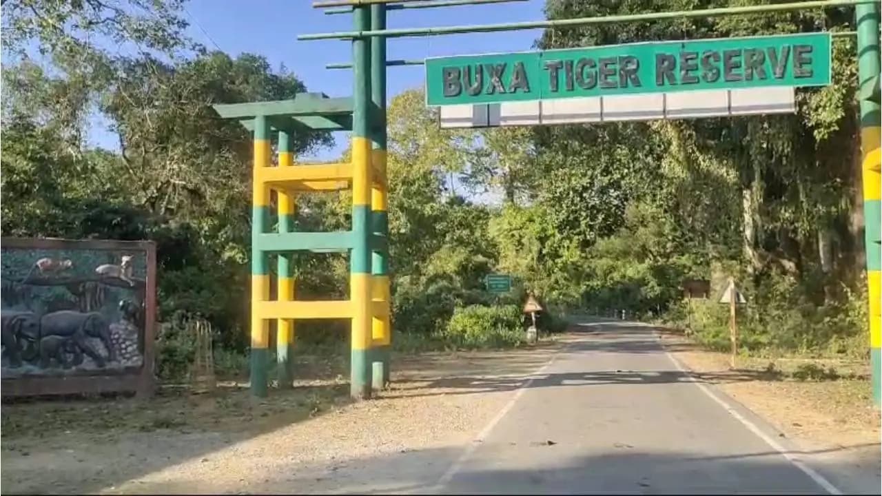 Tiger Release in Buxa by October 2: Forest Officials Struggle to Capture Tigress in Valmiki, Airlift Plan Under Consideration