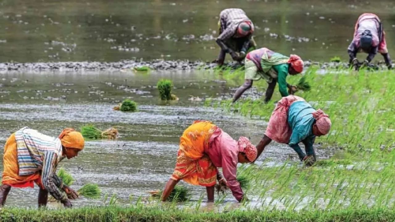 Strict guidelines for Krishak Bandhu scheme submit these 4 documents immediately