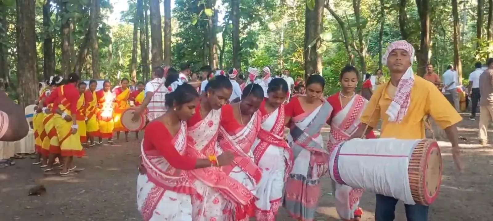 Jaldapara Jungle Closed on Thursdays New Tourist Market Opens in Madarihat to Welcome Visitors
