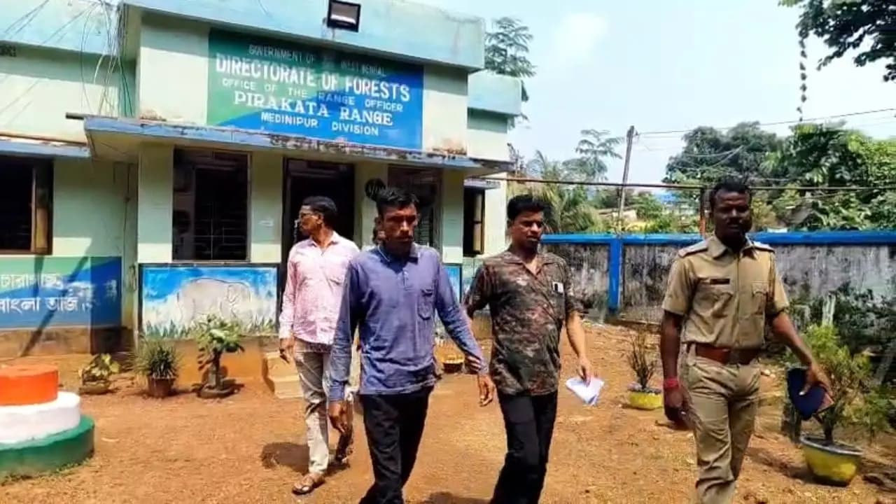 Post-mortem of three died elephants revealed shocking details one arrested