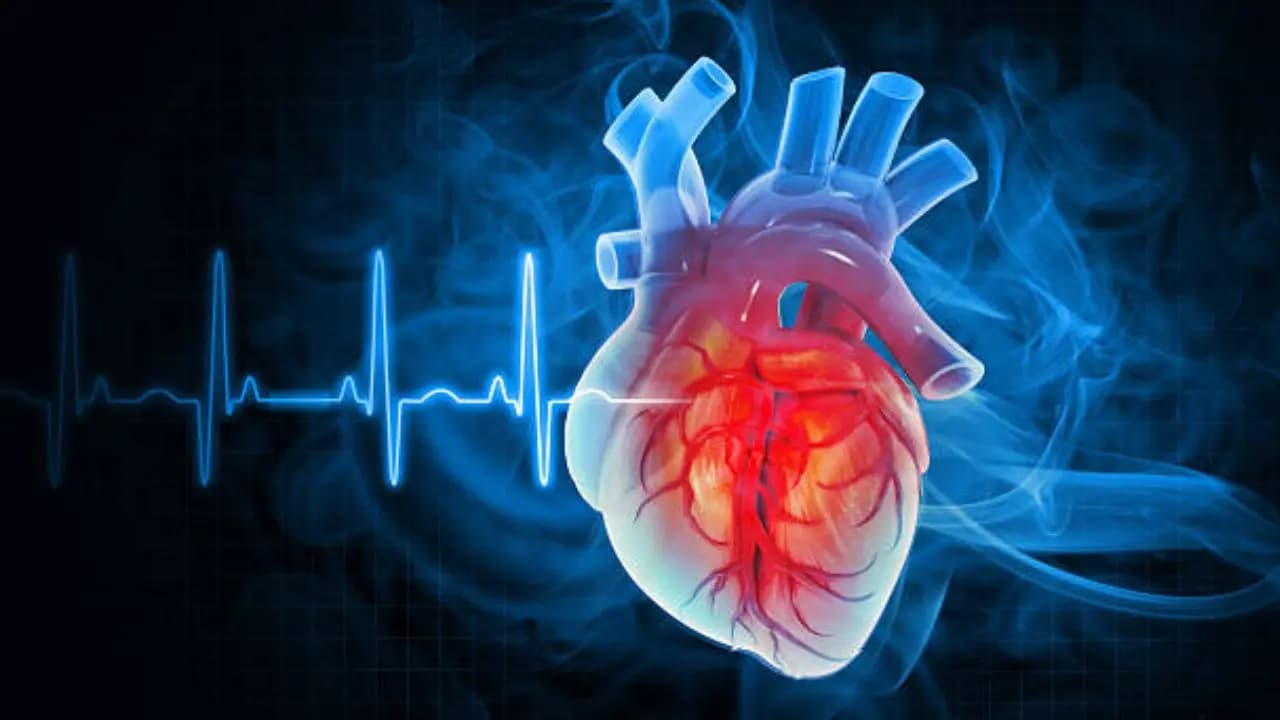World Heart Day: human body second heart is in legs know how to activate it