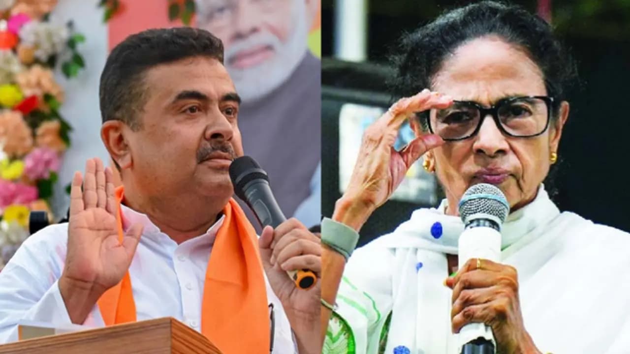 suvendu mamata
