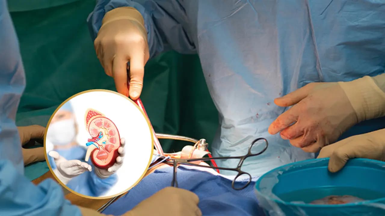 Delhi's Safdarjung Hospital sets Medical History With First Dual Kidney Transplant From One Donor