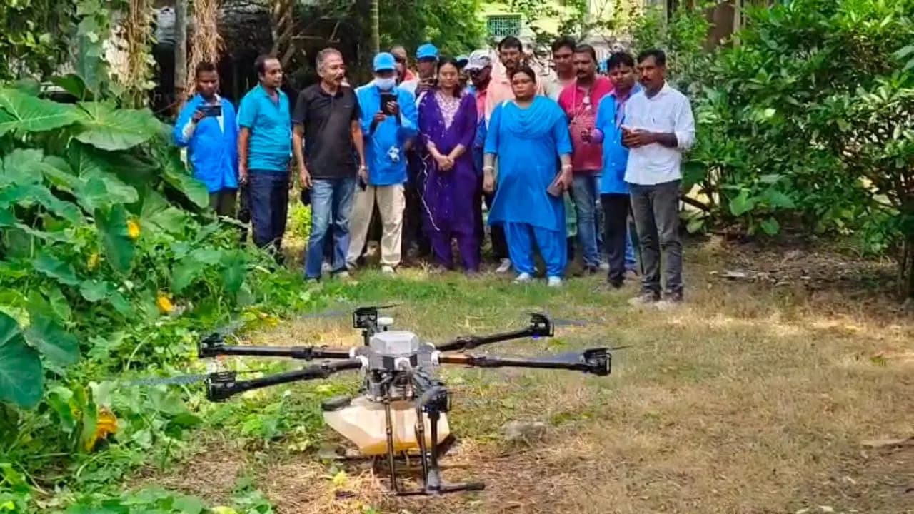 Hooghly Dengue Surge: Dengue cases on the rise in Hooghly before Puja Mahanad village is the epicenter