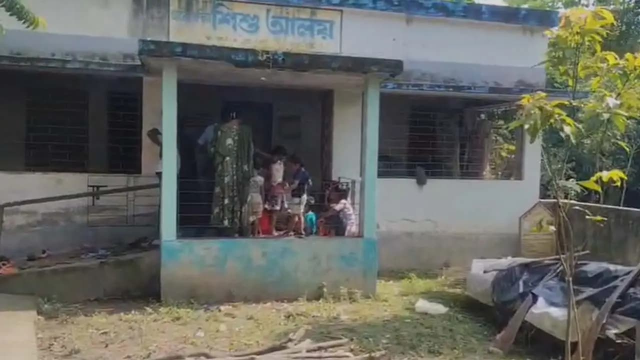 Classrooms Overrun By Ants: Chakdaha school plagued by the problem for three years students and teachers alike in a state of panic 