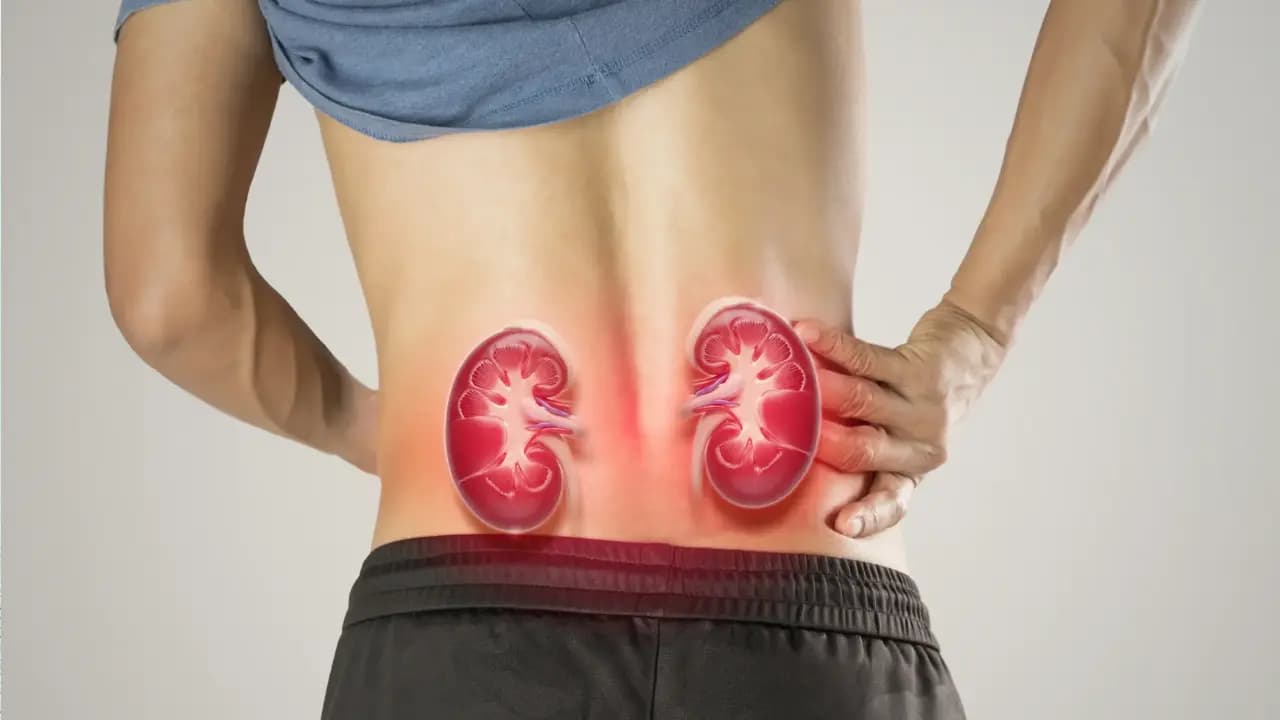 Kidney Failure Risks Linked to High Blood Pressure Diabetes Change Daily Habits to Avoid Health Issues