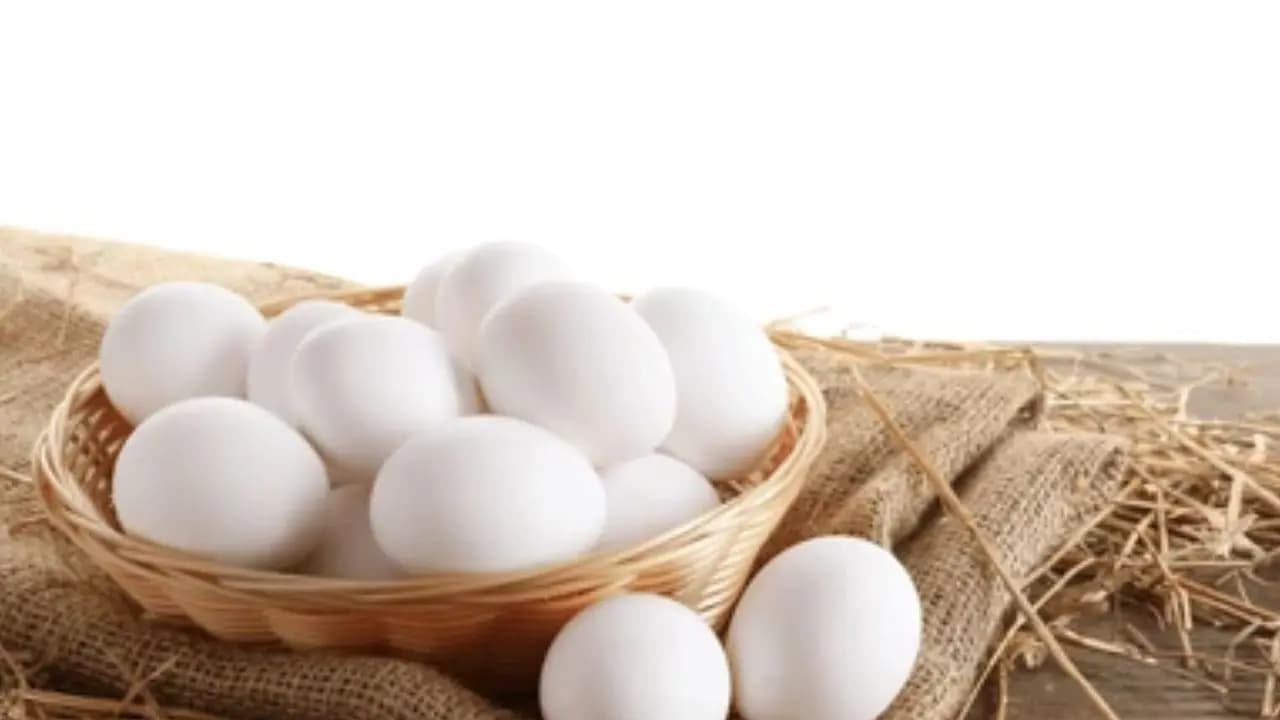 Real of fake eggs check and confirm by doing this simple 2 minutes test