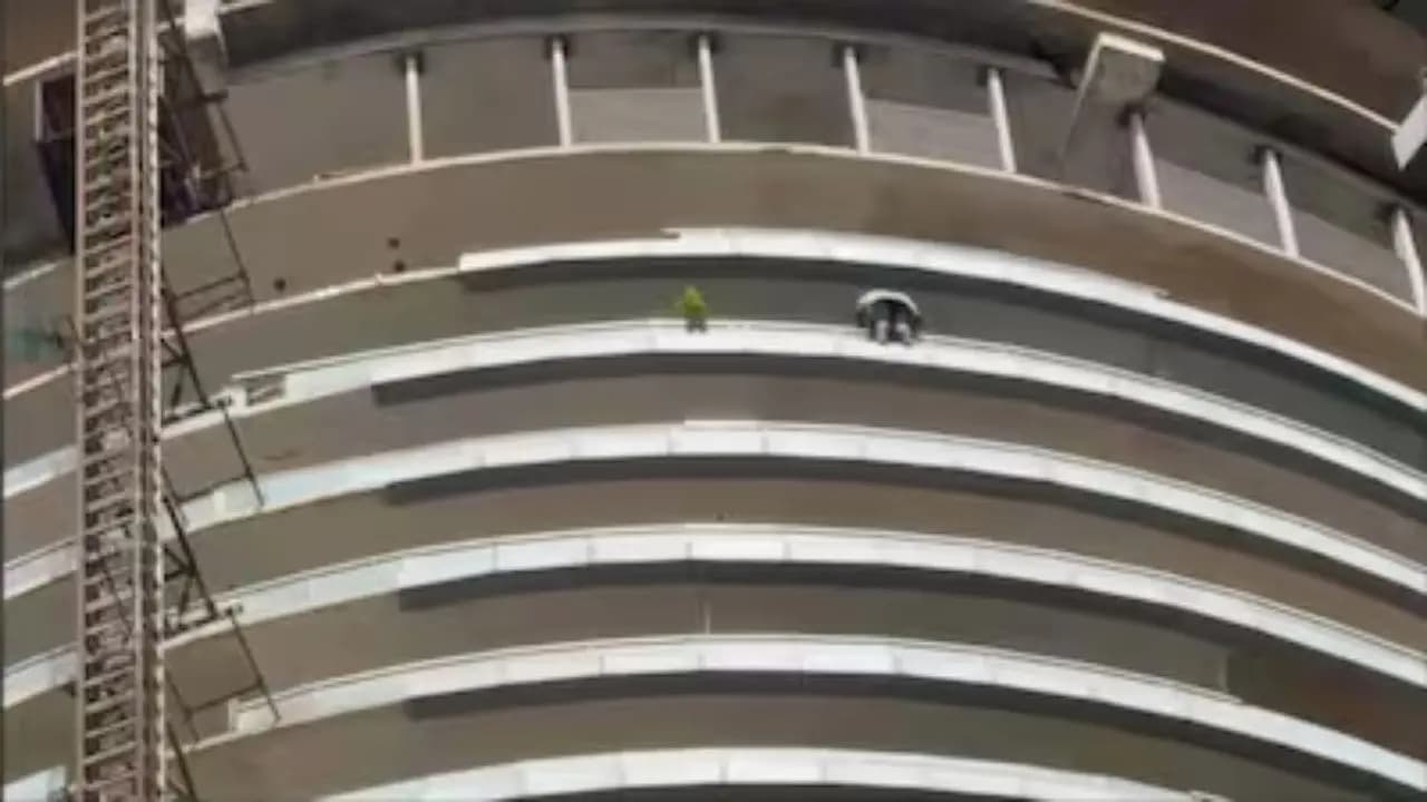 Noida Shocker: Man Jumps Off from a building 43rd Floor in Noida body Split into two 