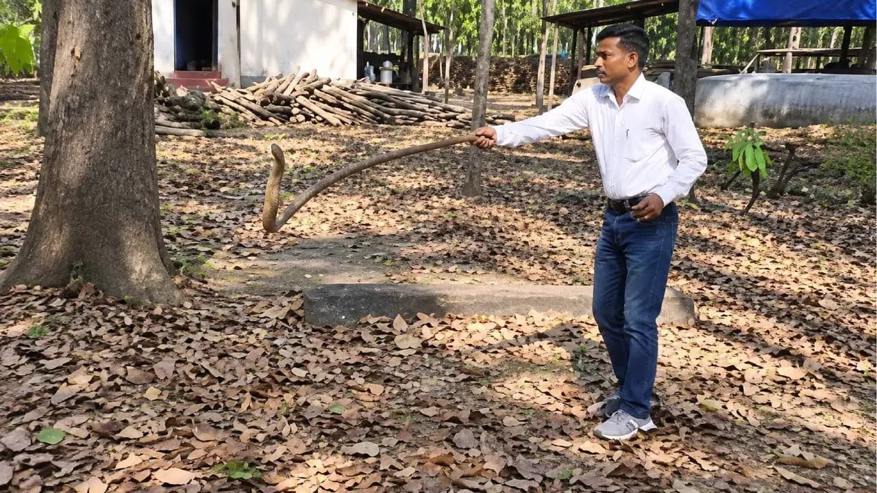 Bishnupur Forest Officer Faces Allegations of Snake Cruelty After Video Goes Viral