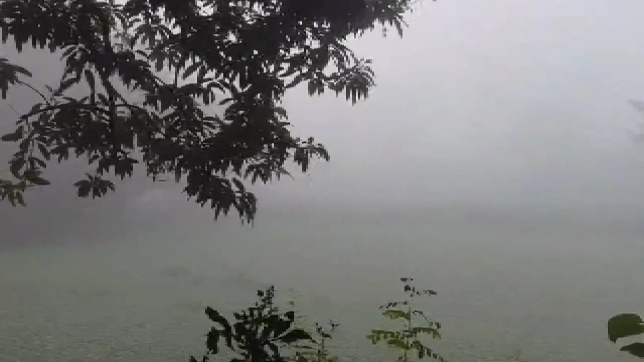 Rare Scene in Bengal, Dense Fog In Deganga Ahead Of Durga Puja, Farmers In Tension