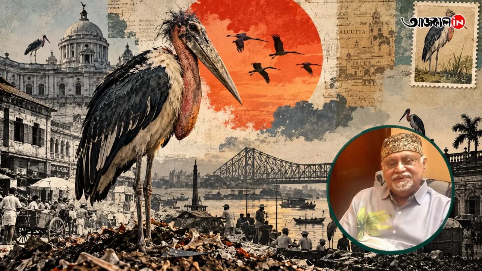 Sunday Special Feature Story on Kolkata Greater adjutant