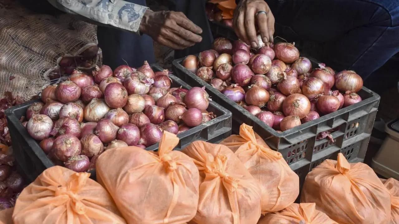 Everyday Onion Extraordinary Health Benefits Why You Should Eat It Daily