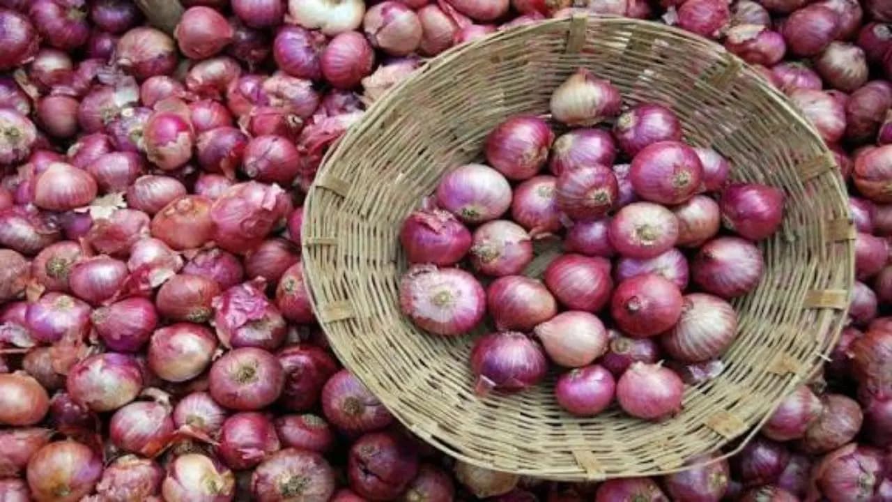 WB Govt Discounts Onion Price: WB Agricultural Marketing Department starts selling Onions at half price from East Bardhaman