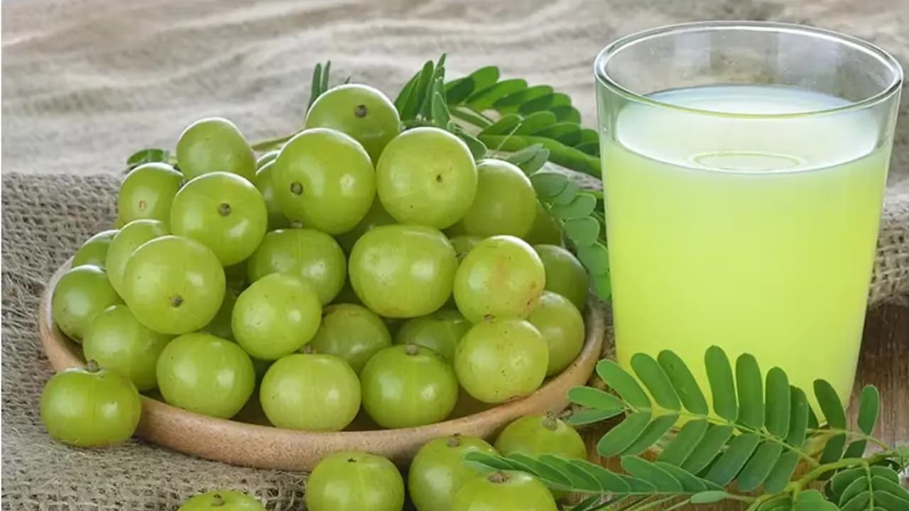 PM Modi Praise India’s Amla Capital Indian Gooseberry has Transformed the Economy and earned GI recognition Where