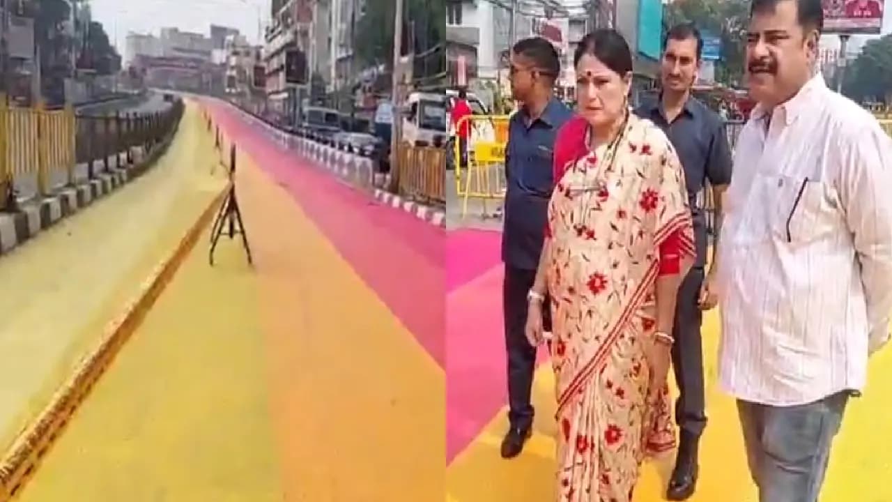 Before Durga Puja gariahat bridge gets fresh colour paint minister Agnimitra Paul visits