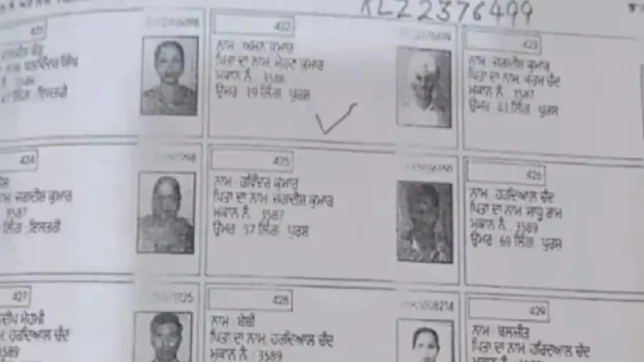 Ludhiana Voter Roll Bhagat Singh Photo sparks Row Authorities Clarify