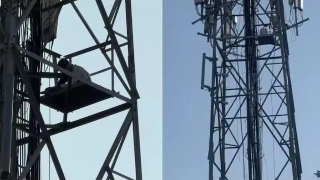 Youth from Uttar Pradesh climbs on mobile tower in Haridwar after wife elopes with lover