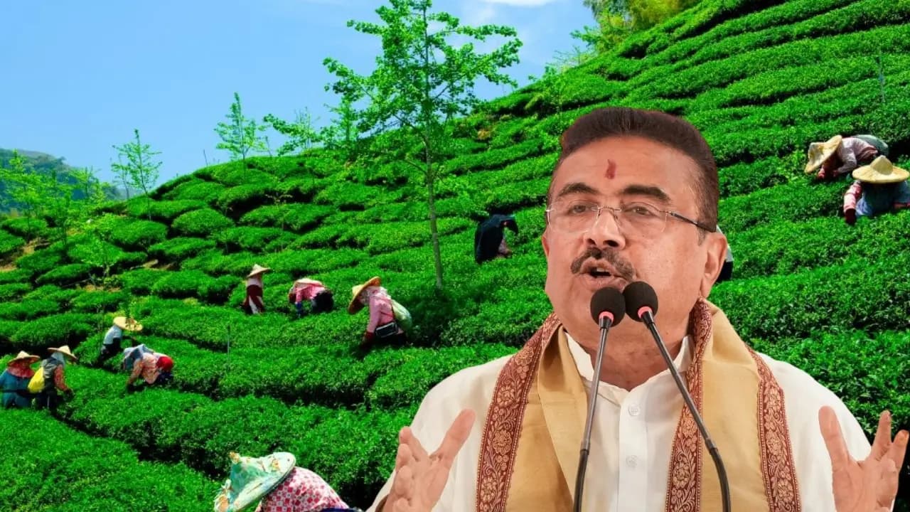 West Bengal Government to assist worker families of closed tea gardens announced by CM Suvendu Adhikari