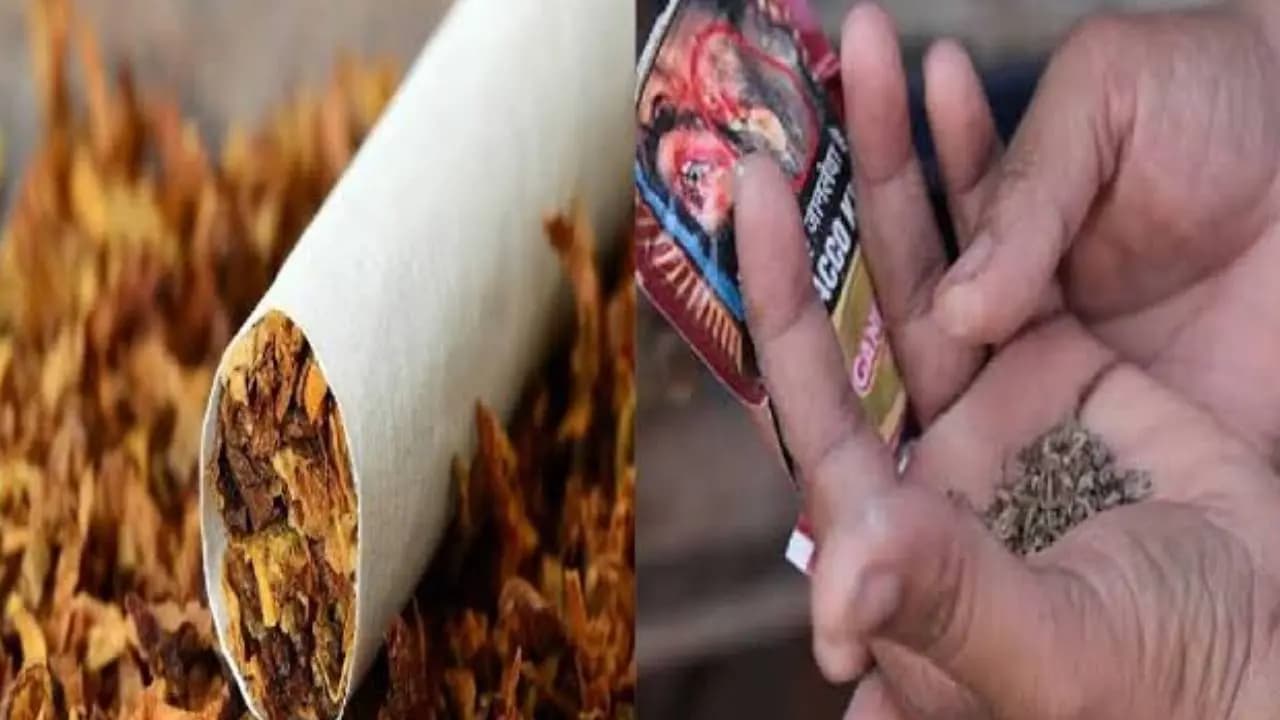 Gutkha and cigarettes no more allowed inside Calcutta High Court