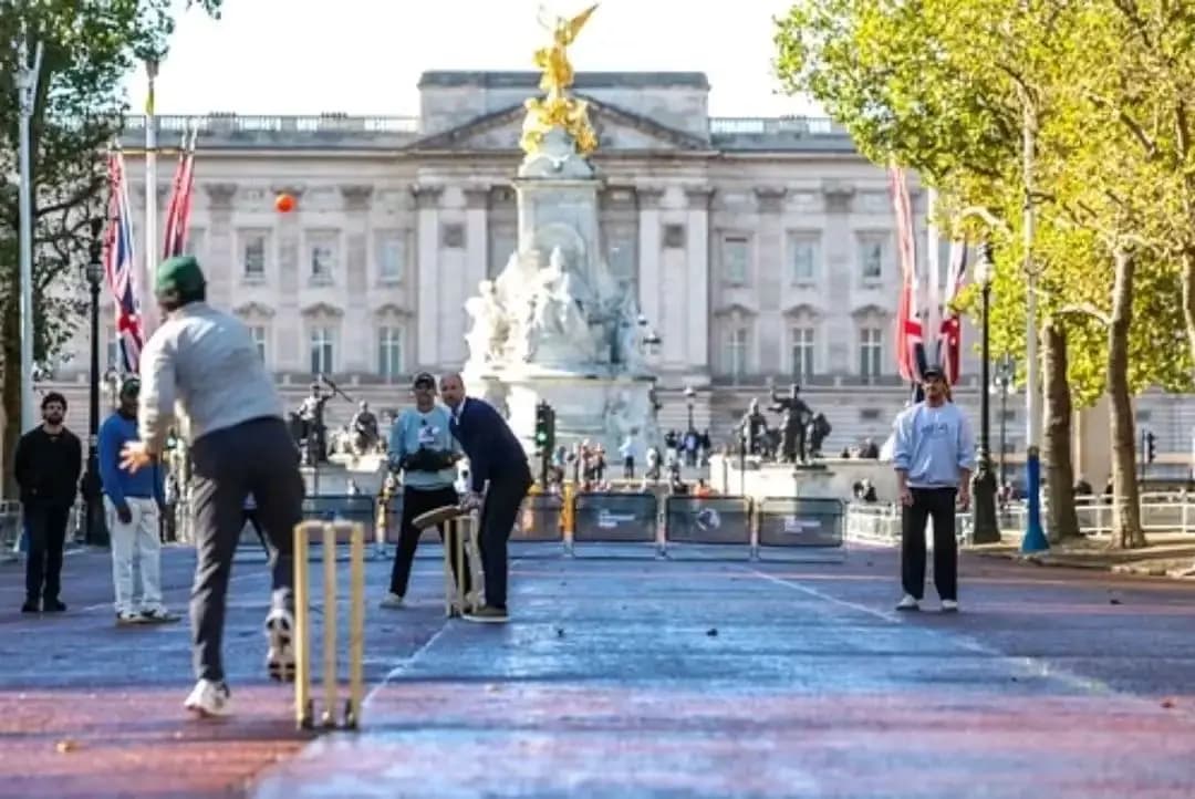 Prince William halts traffic outside Buckingham Palace for cricket with stars 
