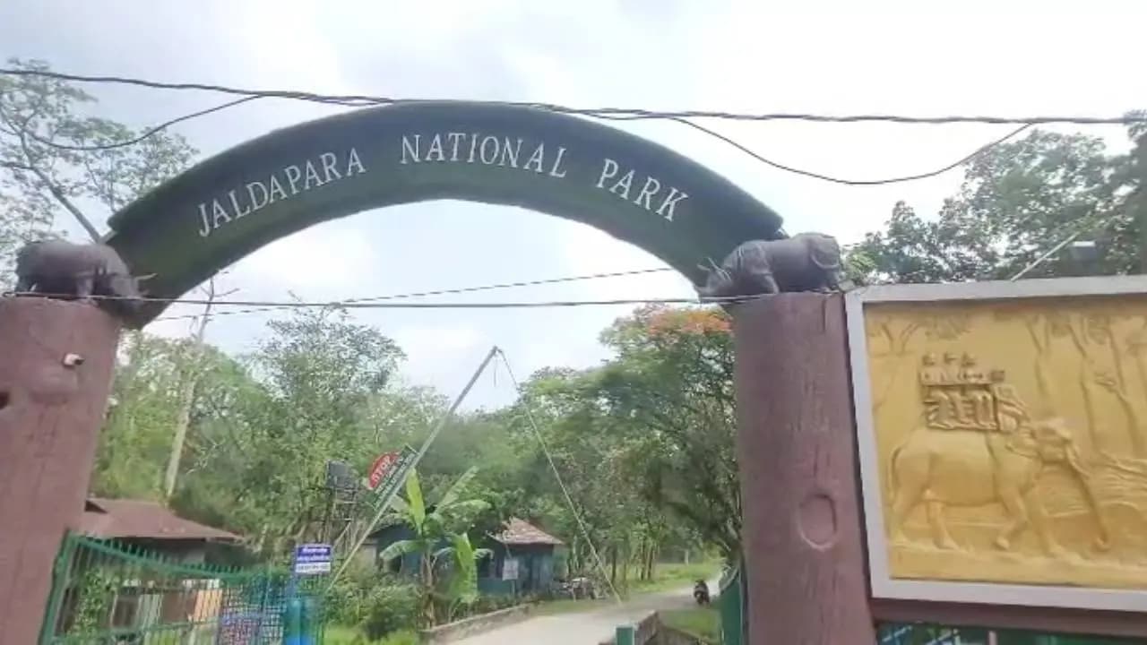 Jaldapara Safari Online Booking Begins: Elephant Safari Also Included
