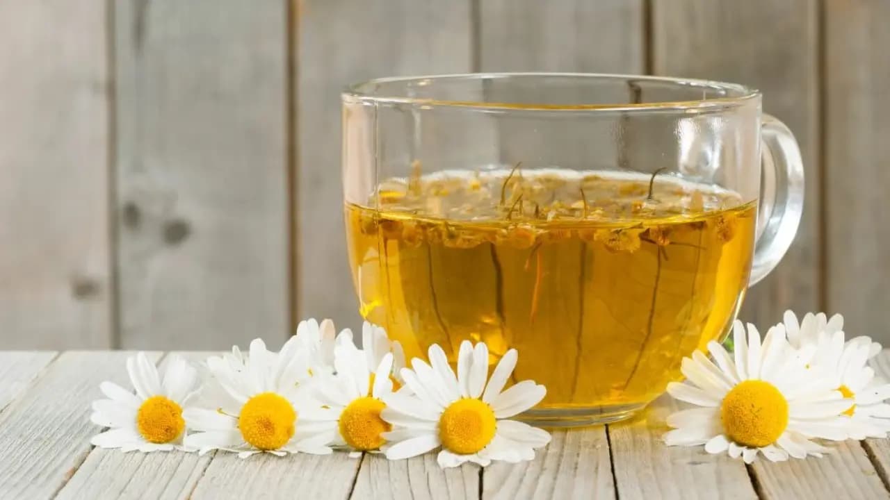 Drinking Chamomile Tea Regularly For Better Sleep is It actually Works