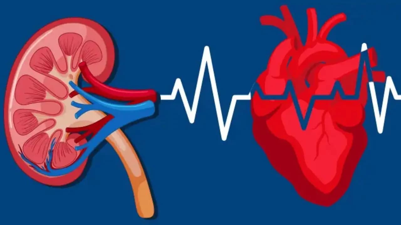 Kidney disease, Heart Disease