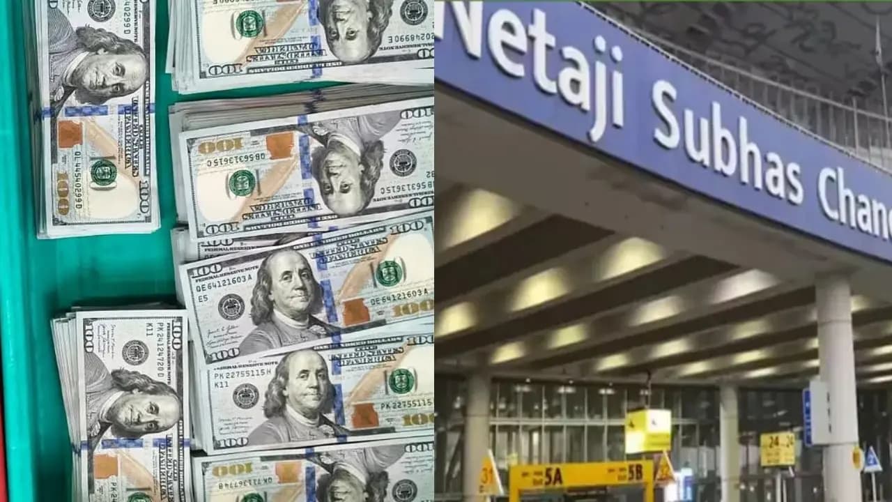 Kolkata Airport Money Recovery: Two passengers detained at Netaji Subhas Chandra Bose International Airport with over 1 crore US Dollar 