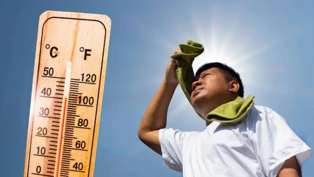 Global temperatures are set to rise by 2.8 degrees! Scientists express grave concern