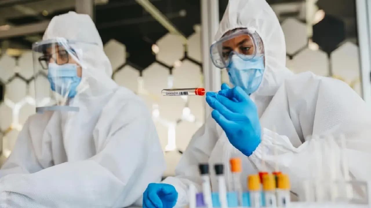 Shamonda Virus Latest Update: know what is this virus and How Does It Spread From Animals To Humans