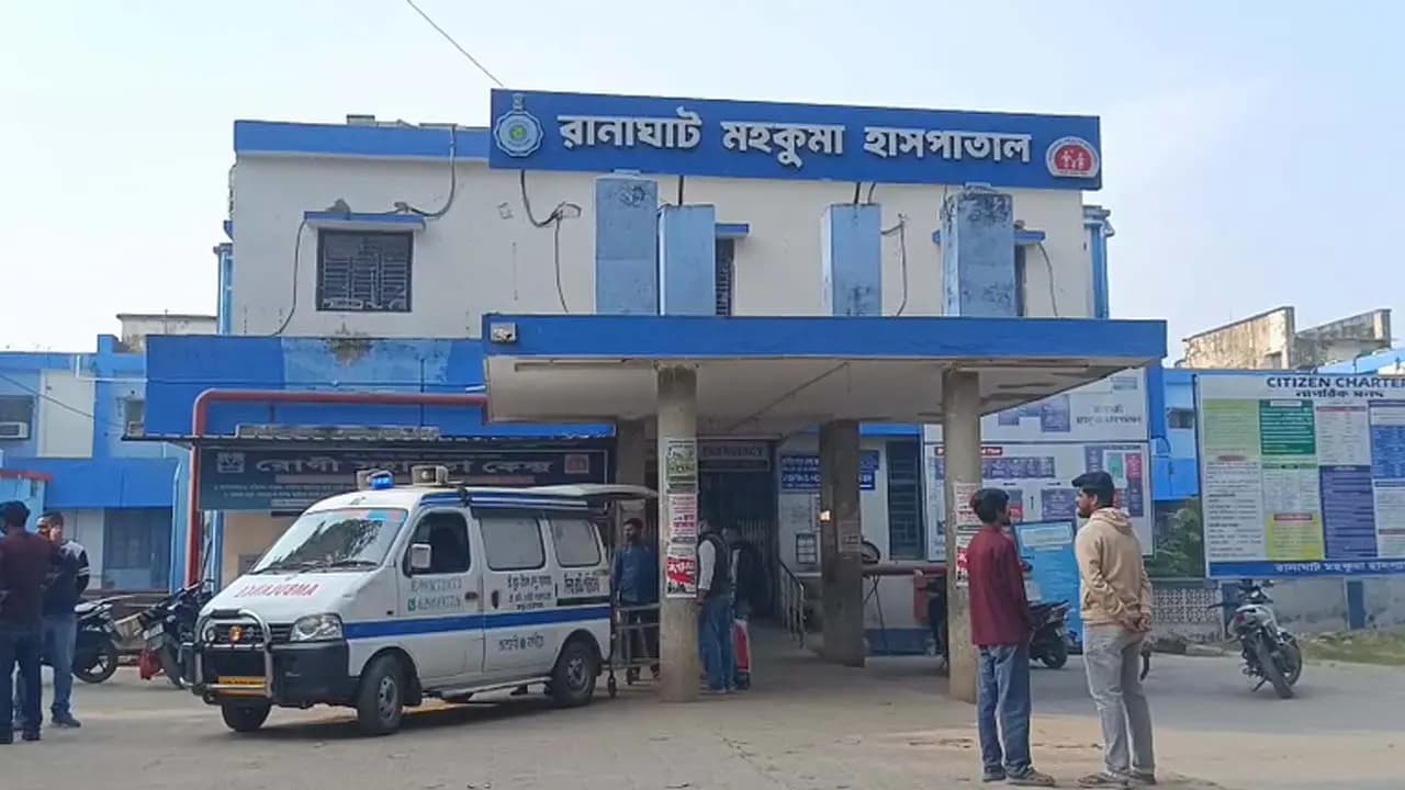 Elderly man dies a tragic death after being stung by a hornet in Shantipur