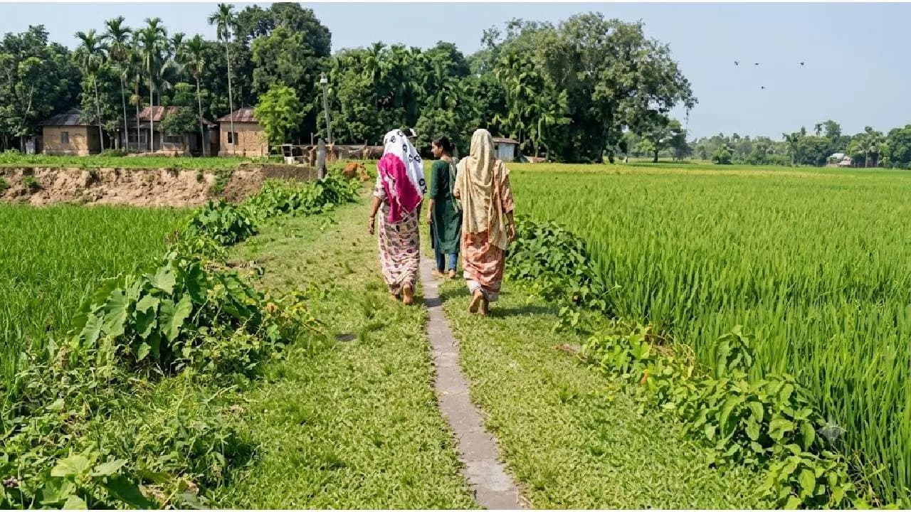 Herbicide Contamination Suspected After Goats and Chickens Die Overnight in Jalpaiguri