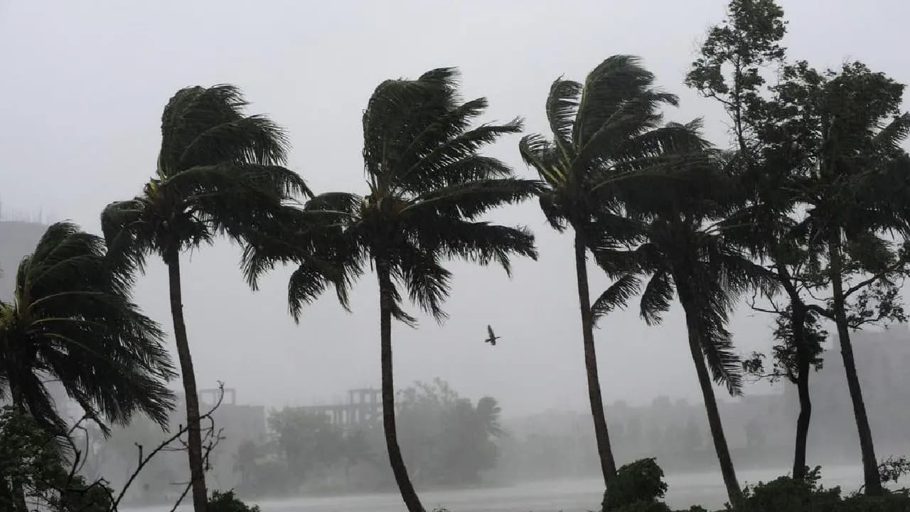 Cyclonic Storm Arnab latest update: IMD Warns Severe Cyclonic Storm to Very Severe Cyclonic Storm west bengal districts ranfall update 