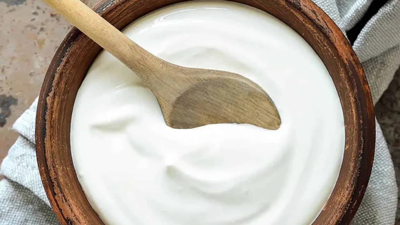 Does Consuming Yogurt in Winter Increase Risk of Colds and Cough Best Time to Eat