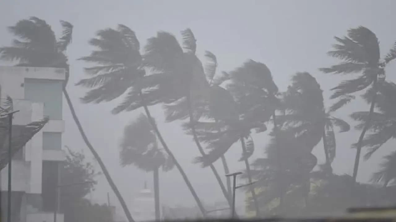 Cyclone Arnab Latest Update: very severe cyclonic storm know about likely landfall date time place 