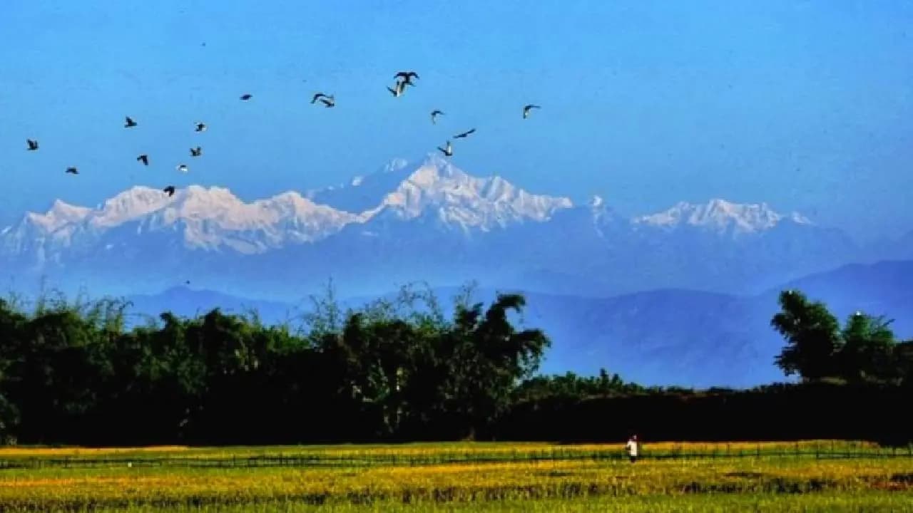 Kanchenjunga Clear Visible from Jalpaiguri Homes Residents Thrilled