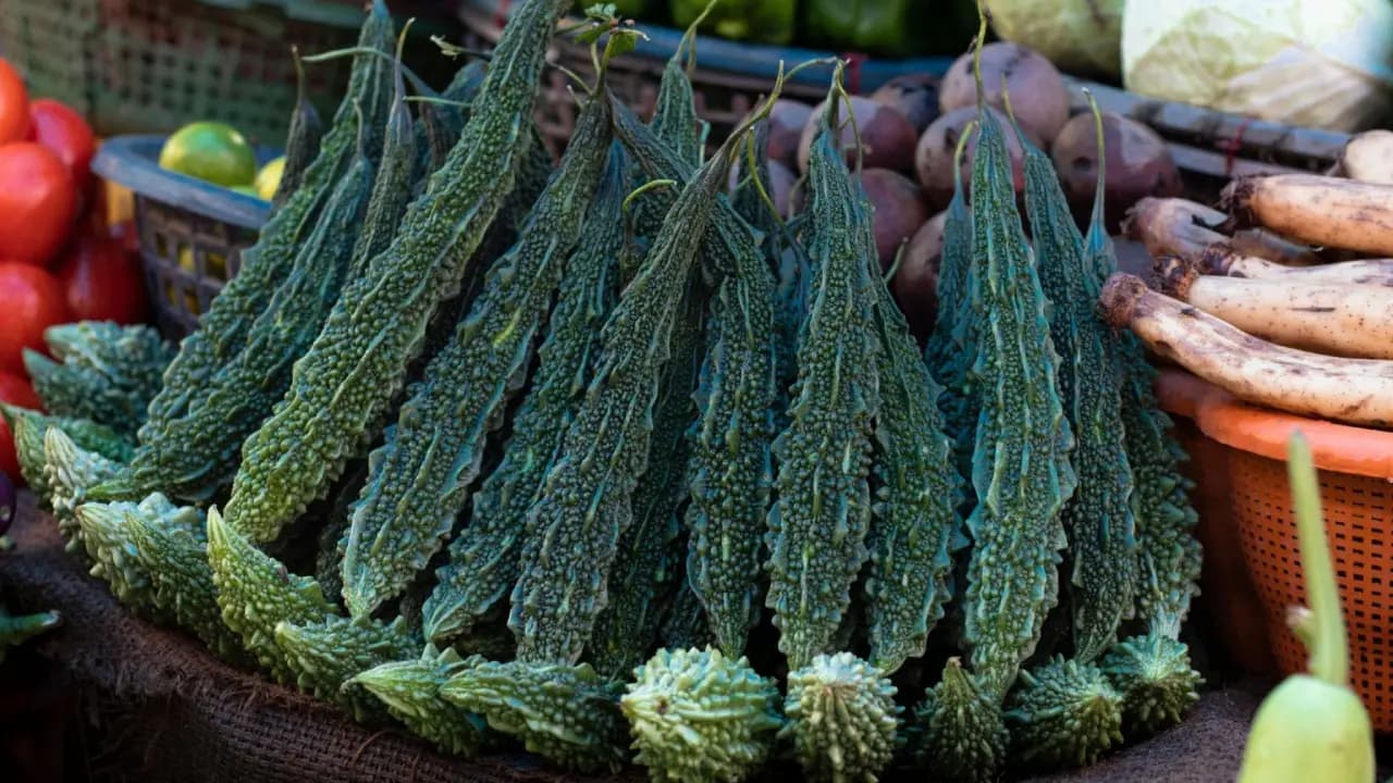 99 percent people do not know the English name of Karela