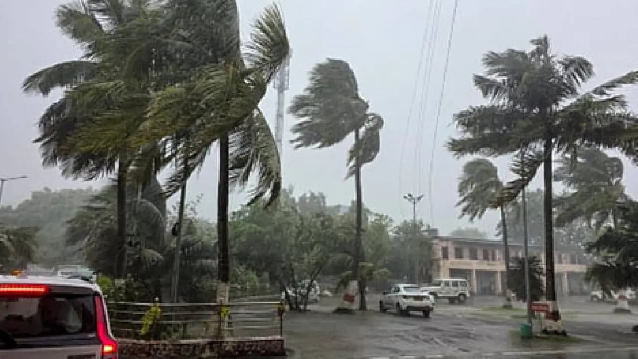 Cyclone Arnab Update: Babies Born During Cyclone Arnab Landfall, Many Parents Choose Theri Newborn Name Arnab