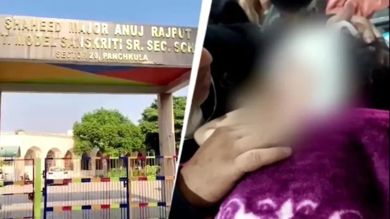 Haryana School Horror: In Haryana school Class 3 boy hits KG girl with stone flowerpot drags her around 
