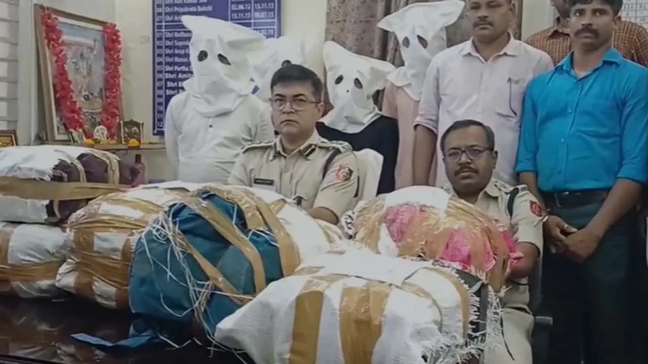 Large quantity of cannabis seized: Major success for Chandannagar Police Commissionerate ahead of Kali Puja four arrested 