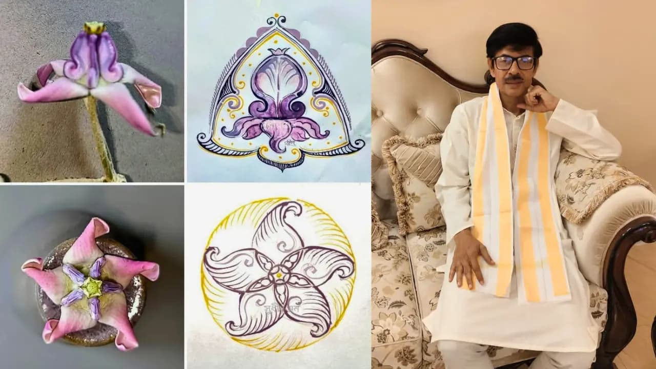 How to create an Alpana using Akanda flowers