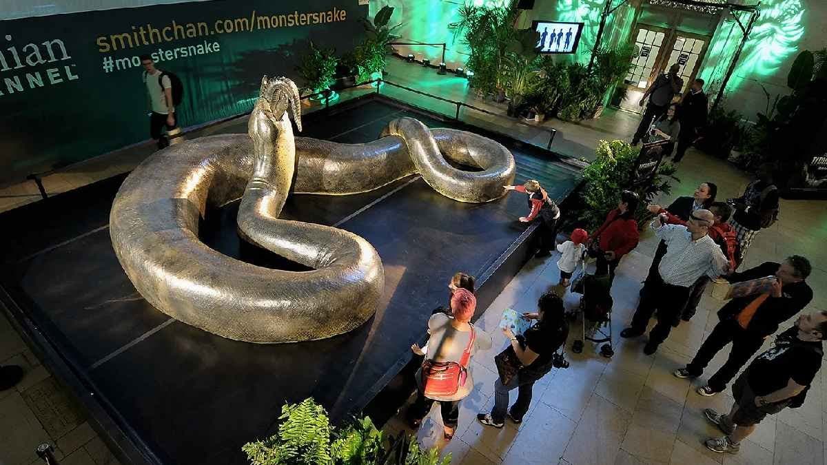 Titanoboa the 50 foot monster snake and incredibly powerful hunter