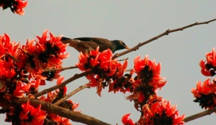 Mercury soars slightly in Bengal, rainfall expected again
