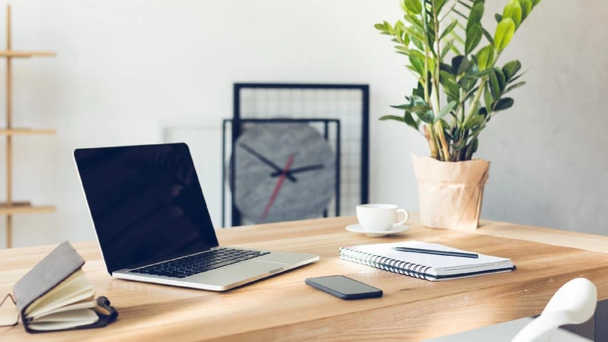 Which plants should you keep on your office desk