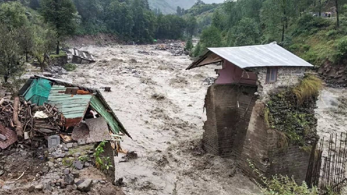 Himachal rain Dogs Bark Saves 67 Lives in Mandi