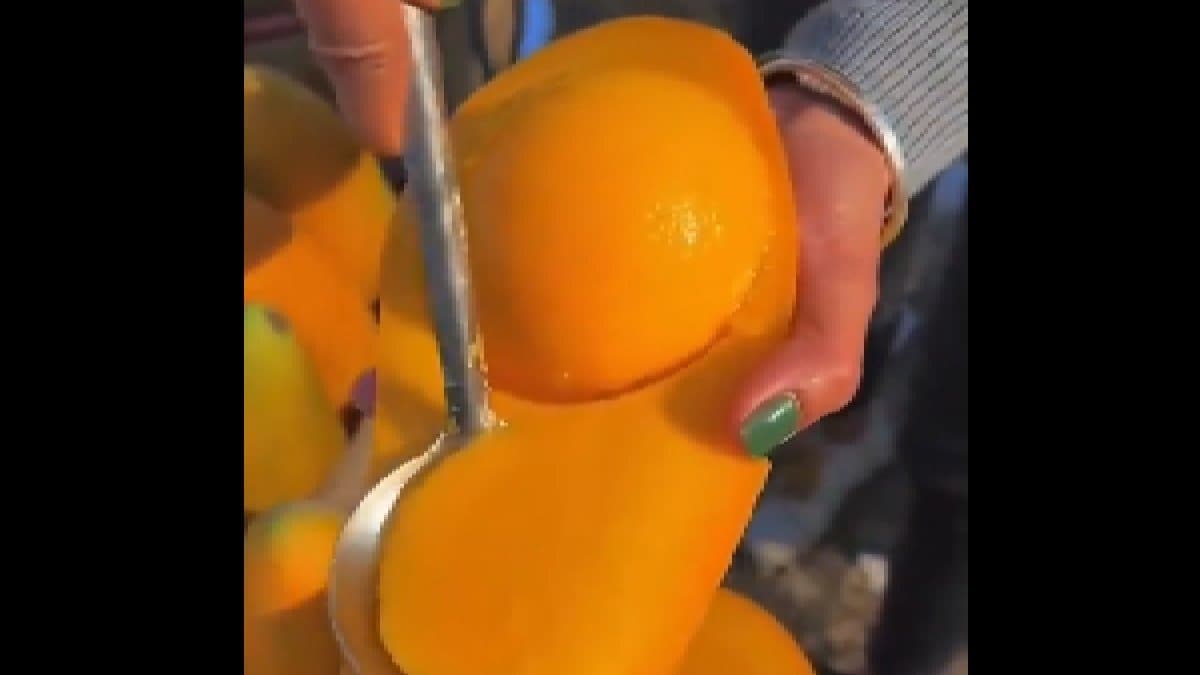 No Seed Mango viral video on social media