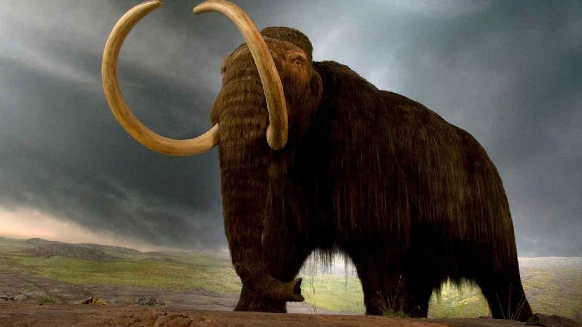Mammoths back to Life: Scientists Create Strange New Creature