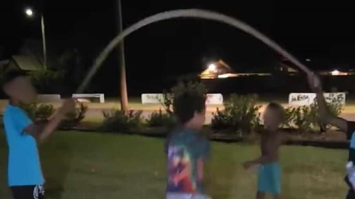 Not a Skipping Rope children use Dead Python As Skipping Rope