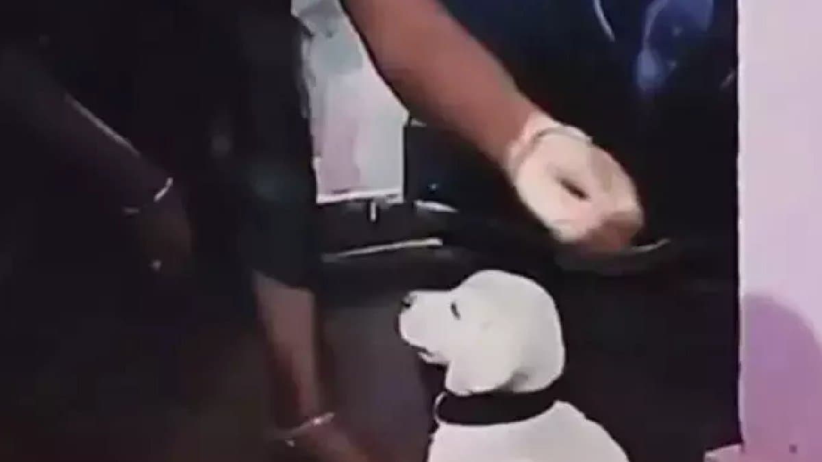 women performing nazar utaarna ritual with her pet dog