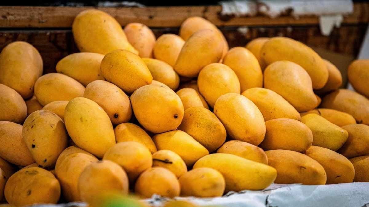 Air India Delivers 1000 tonnes of Mangoes in 31 countries